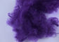 6D*65MM紫色によってリサイクルされるペット繊維、帯電防止ペット ステープル ファイバのよい伸縮性